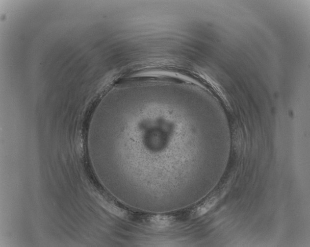 X0000074340261200609011635