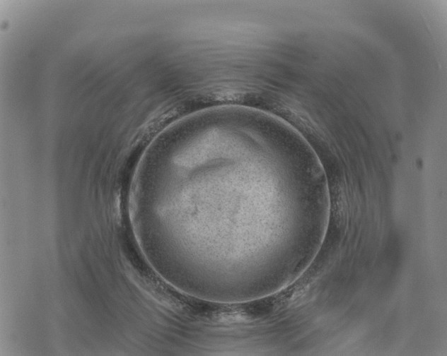 X0000074340262200609011635