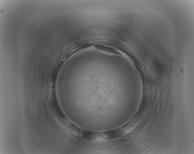 X0000074340263200609011635