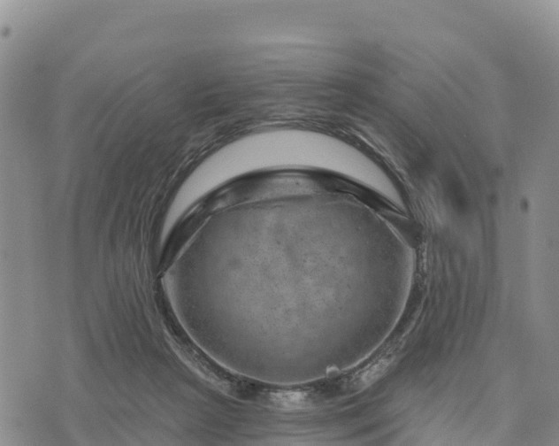 X0000074340265200609011635