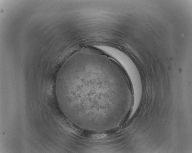 X0000074340266200609011635