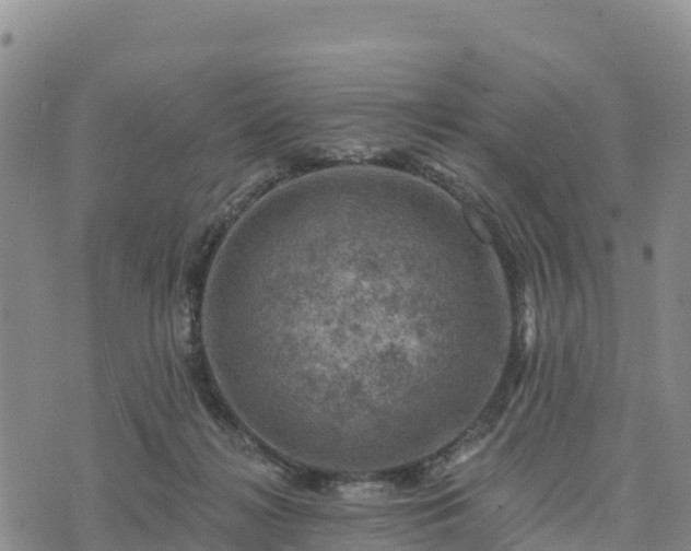 X0000074340268200609011635