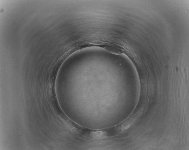 X0000074340269200609011635