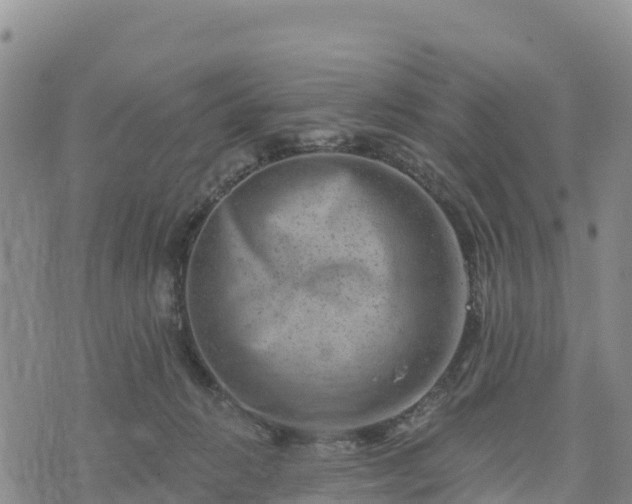 X0000074340270200609011635