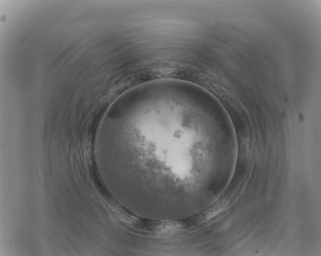 X0000074340274200609011635