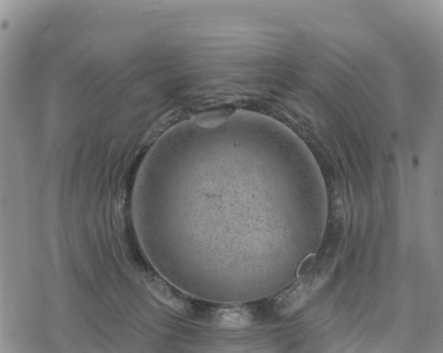 X0000074340275200609011635