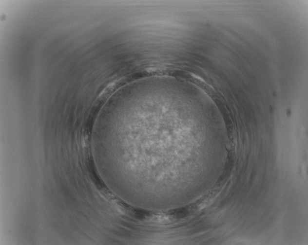 X0000074340276200609011635