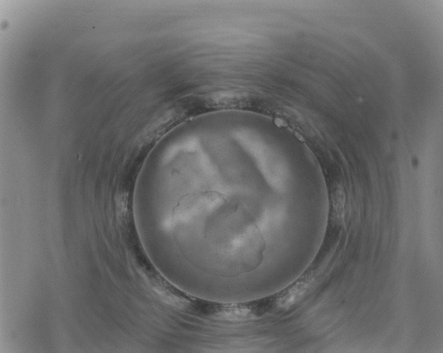 X0000074340278200609011635