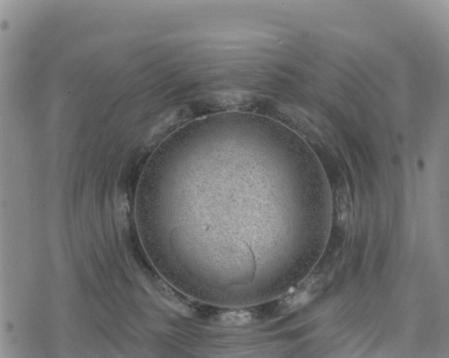 X0000074340279200609011635