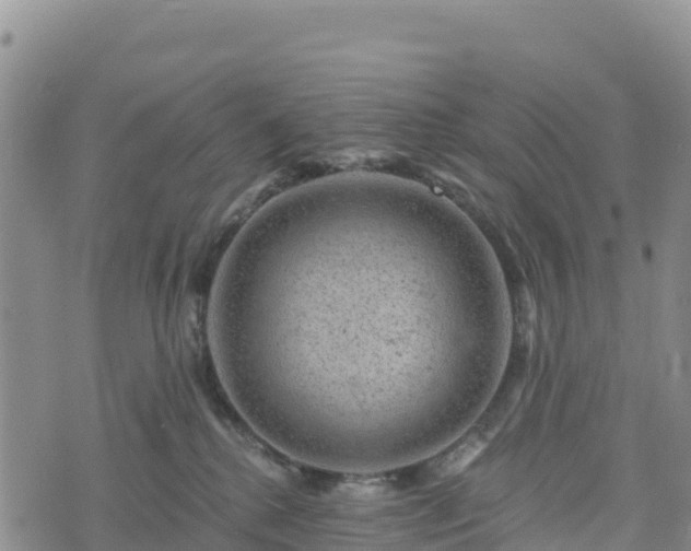 X0000074340280200609011636