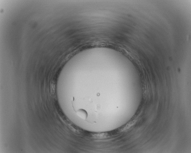 X0000074340281200609011636