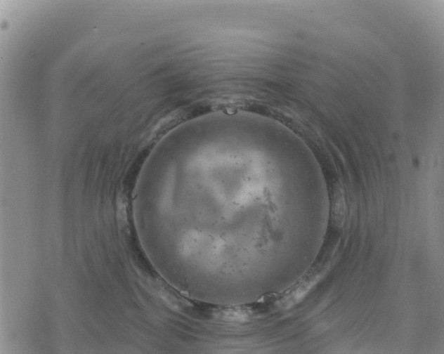 X0000074340282200609011636