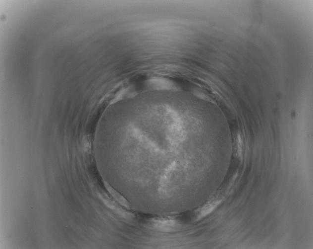 X0000074340284200609011636