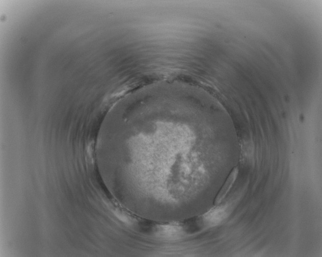 X0000074340286200609011636