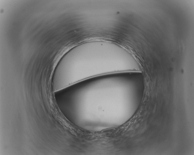 X0000074340289200609011635