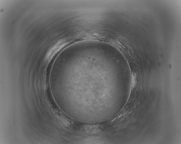 X0000074340291200609011635