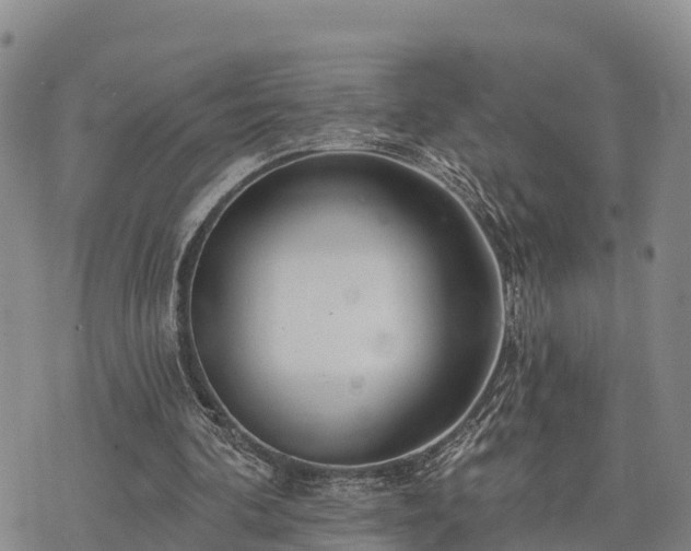 X0000074340292200609011635