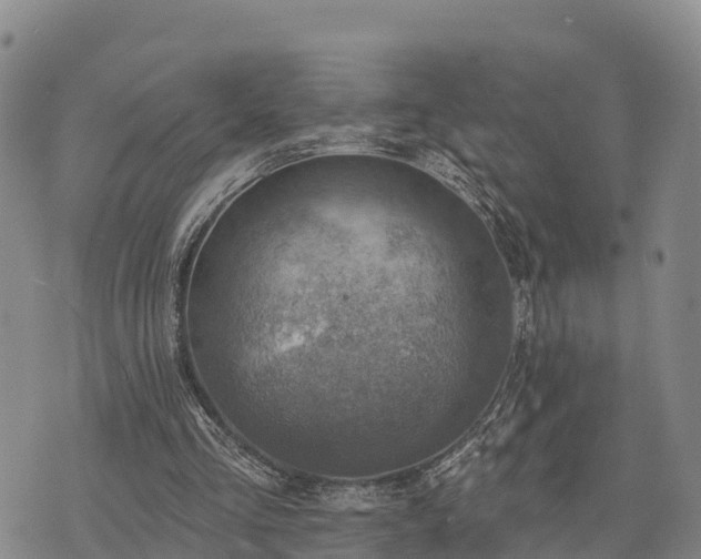 X0000074340293200609011635