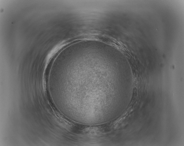 X0000074340294200609011635