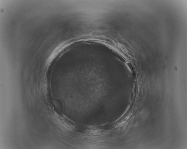 X0000074340295200609011635