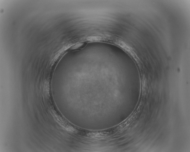 X0000074340297200609011635