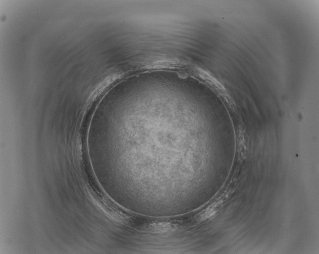 X0000074340298200609011635