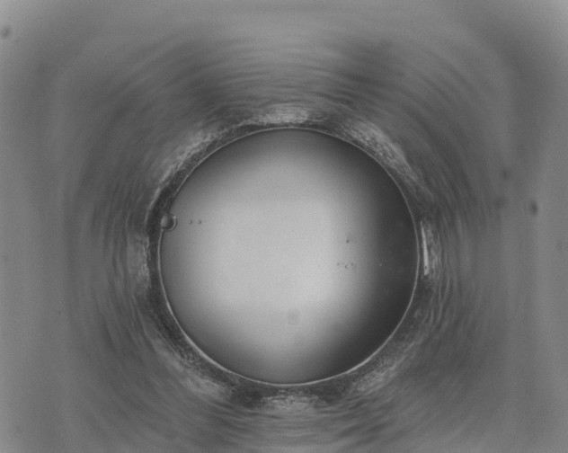 X0000074340300200609011635