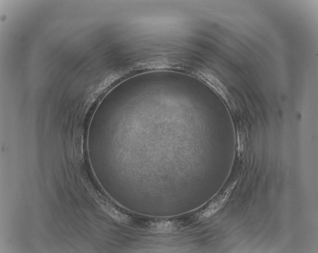 X0000074340301200609011635