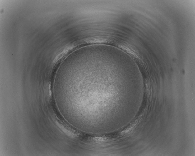 X0000074340302200609011635