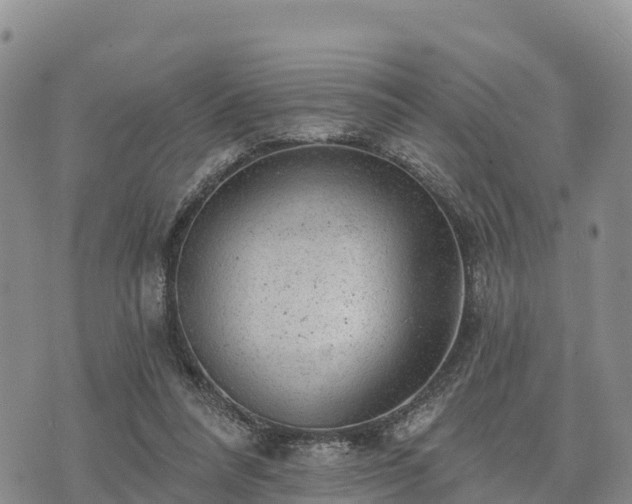 X0000074340304200609011635