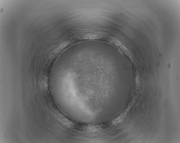 X0000074340305200609011635