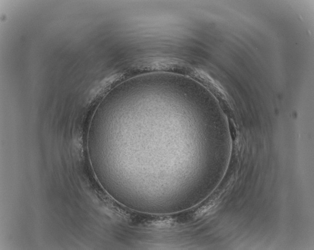 X0000074340306200609011635