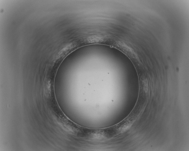 X0000074340308200609011635