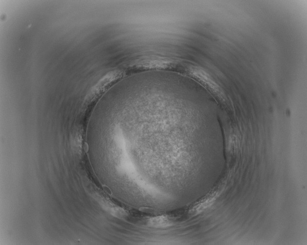 X0000074340309200609011635