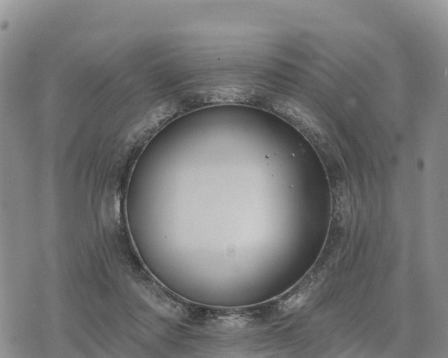 X0000074340310200609011635