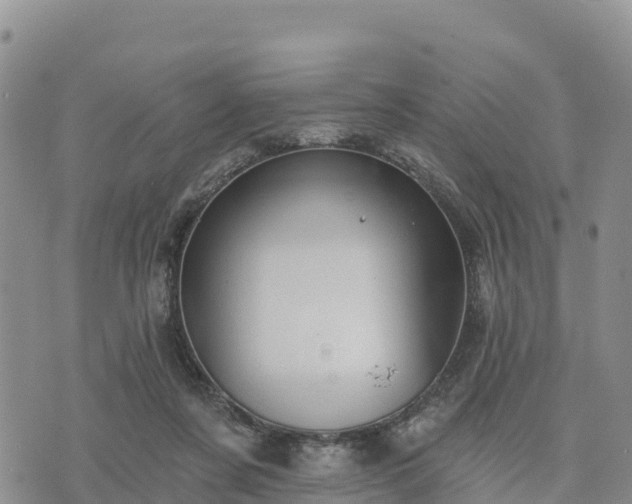 X0000074340311200609011634