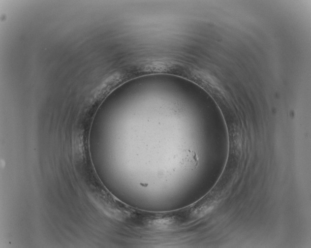 X0000074340312200609011634