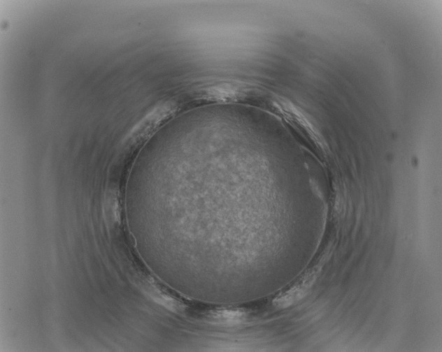 X0000074340313200609011634