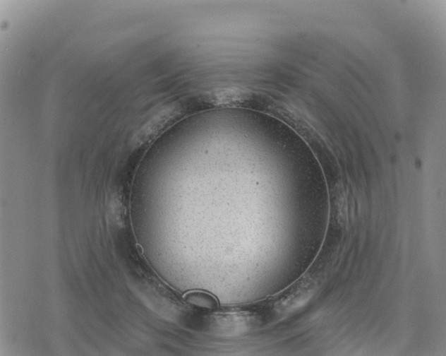 X0000074340316200609011634