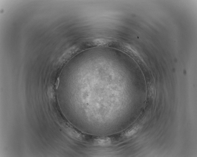 X0000074340317200609011634