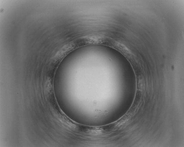 X0000074340318200609011634