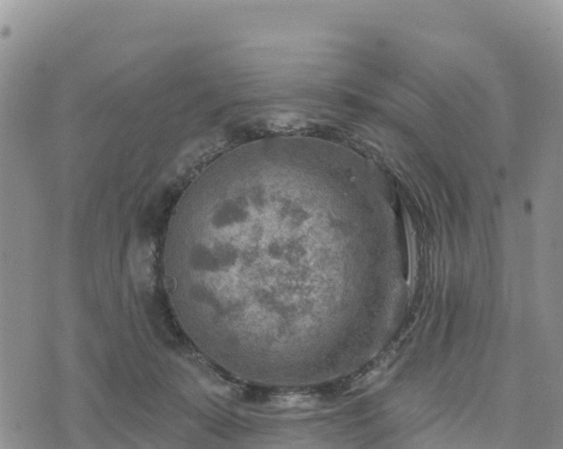 X0000074340319200609011634