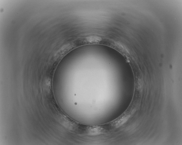 X0000074340321200609011634