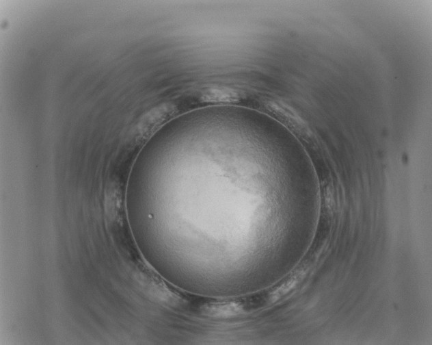 X0000074340322200609011634