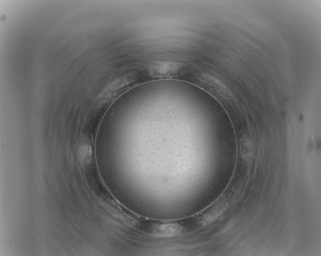 X0000074340324200609011634