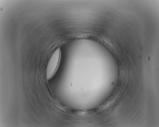 X0000074340325200609011634