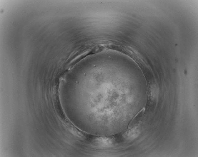 X0000074340326200609011634