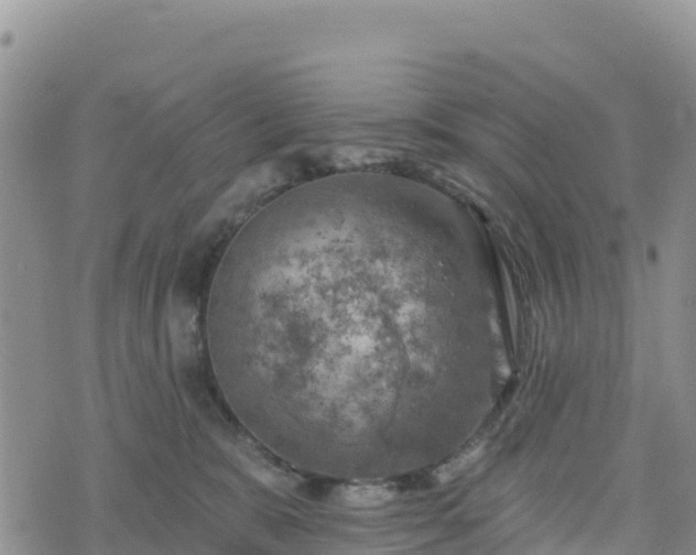 X0000074340327200609011634