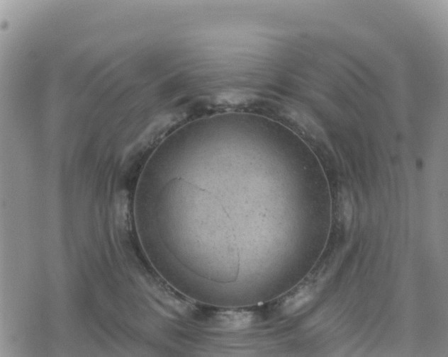 X0000074340328200609011634