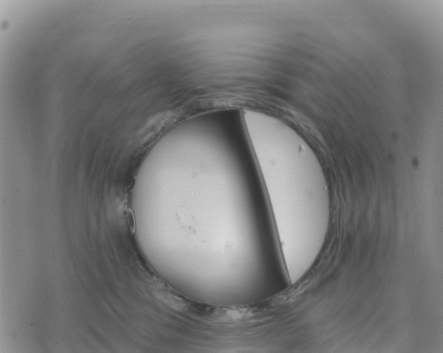 X0000074340329200609011634